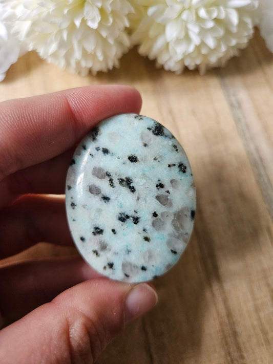 Kiwi Jasper Daumenstein (4x)