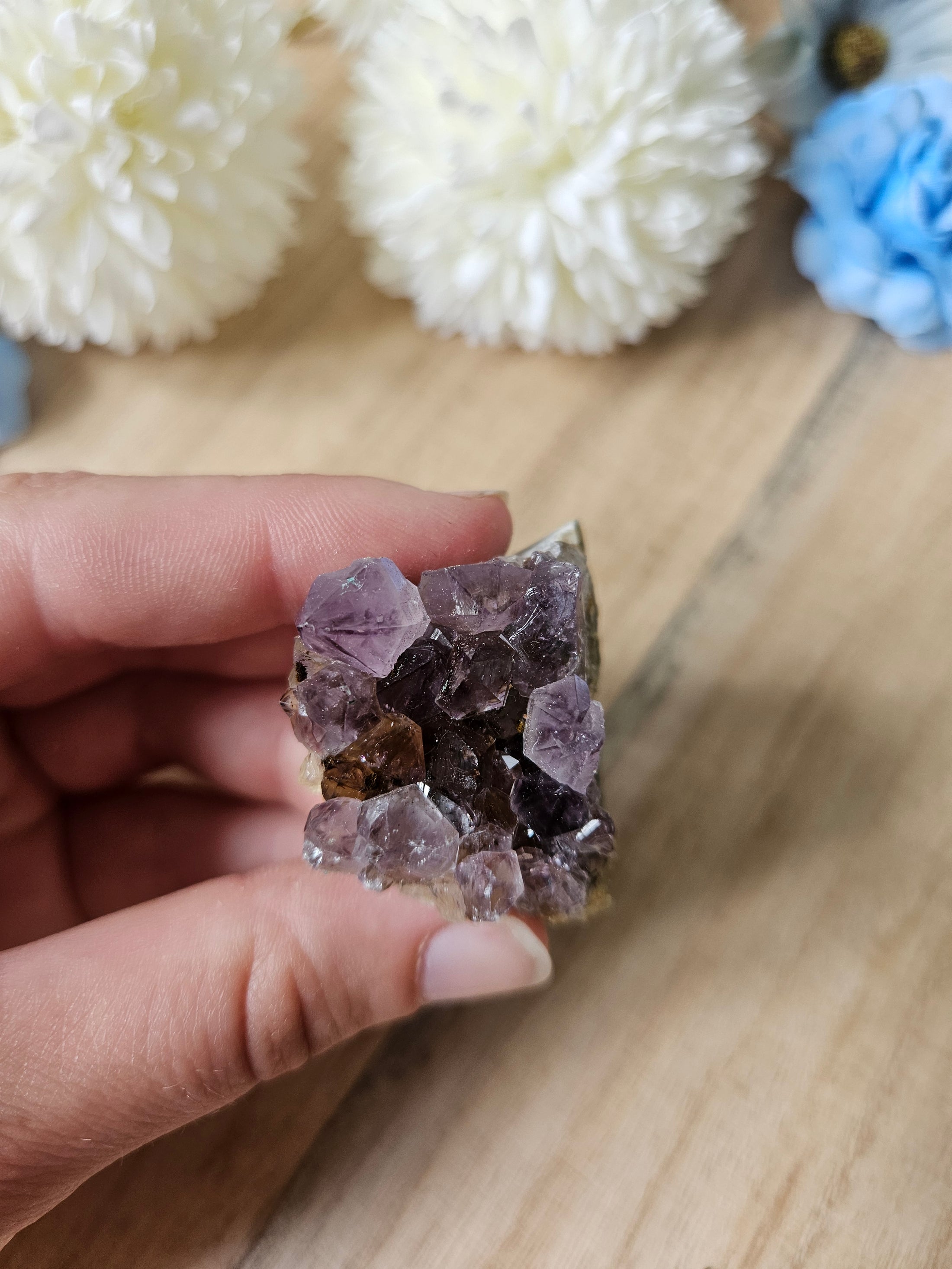 Amethyst Cluster (5i) A- Qualität