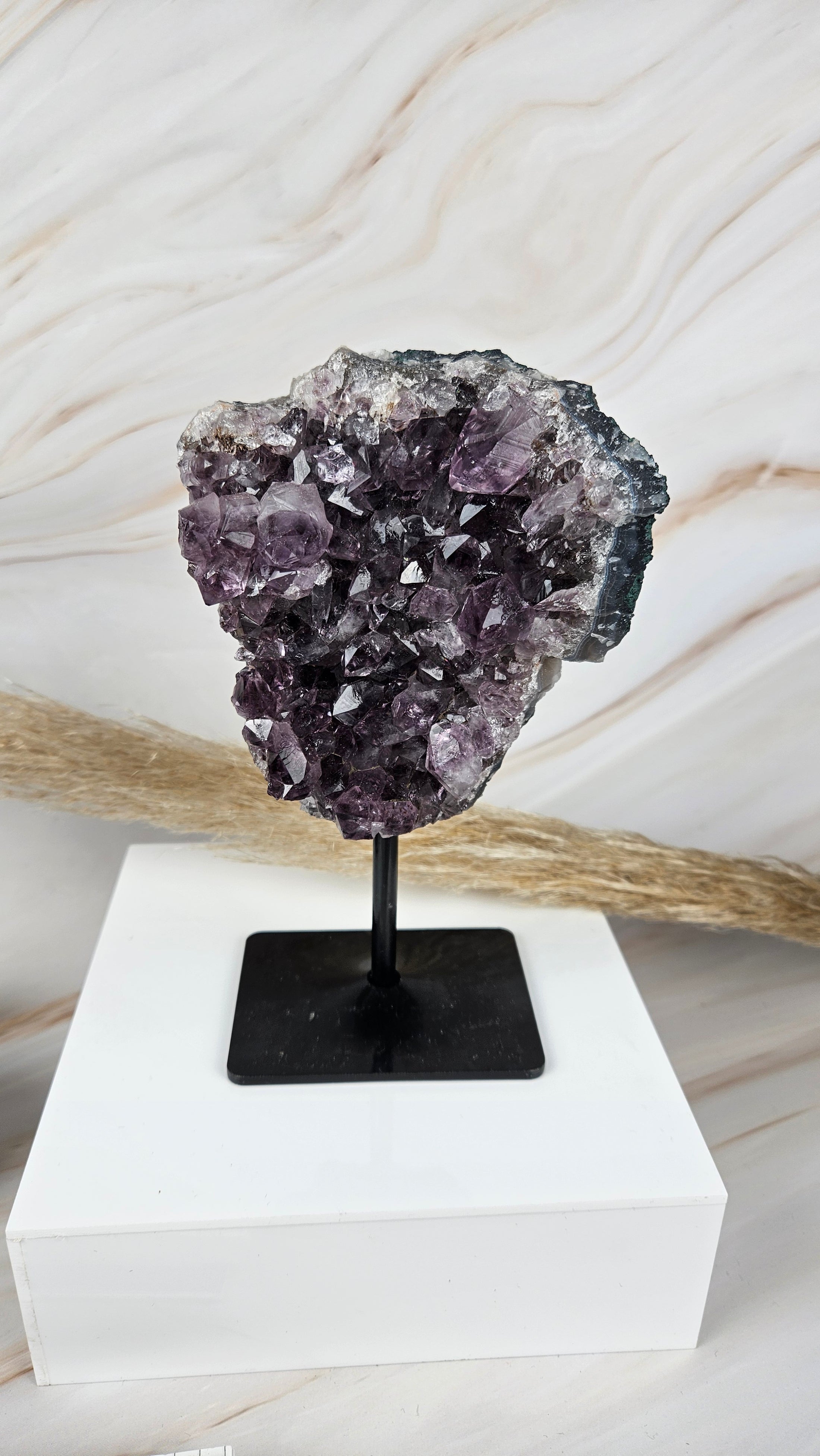 Amethyst Cluster auf Stand (39cip)