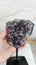 Bild in Galerie-Betrachter laden, Amethyst Cluster auf Stand (39cip)
