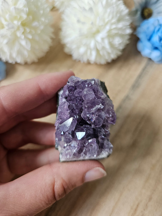 Amethyst Cluster (8h) A- Qualität